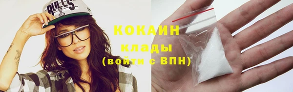 стаф Абинск