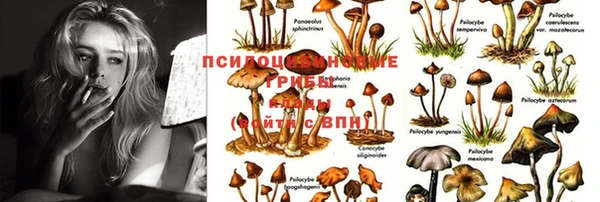 каннабис Алзамай