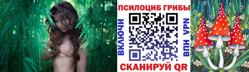 Галлюциногенные грибы MAGIC MUSHROOMS Таштагол